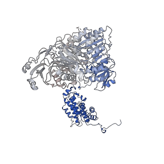 20904_6uv5_C_v1-2
Structure of human ATP citrate lyase in complex with acetyl-CoA and oxaloacetate