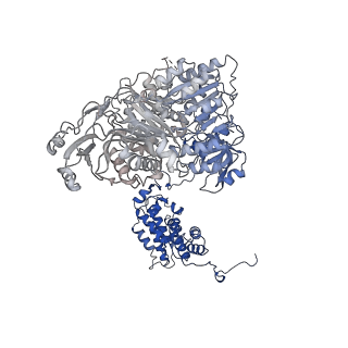 20904_6uv5_C_v1-3
Structure of human ATP citrate lyase in complex with acetyl-CoA and oxaloacetate