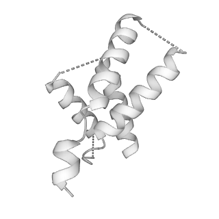 20908_6uvn_N_v1-1
CryoEM structure of VcCascasde-TniQ complex