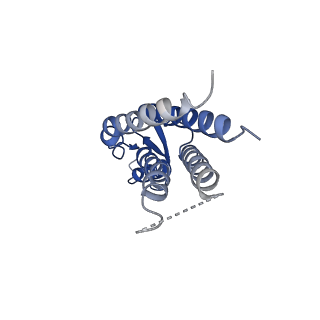 20914_6uvr_J_v1-1
Human Connexin-26 (Neutral pH open conformation)