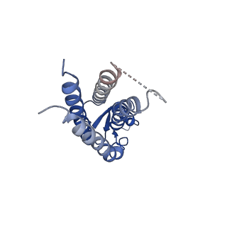 20914_6uvr_L_v1-1
Human Connexin-26 (Neutral pH open conformation)