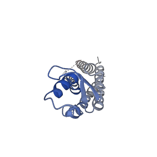 20915_6uvs_A_v1-2
Human Connexin-26 (Low pH open conformation)