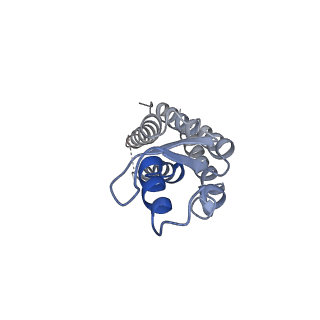 20915_6uvs_B_v1-2
Human Connexin-26 (Low pH open conformation)