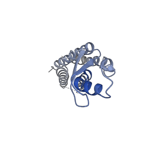 20915_6uvs_C_v1-2
Human Connexin-26 (Low pH open conformation)