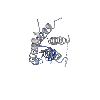 20915_6uvs_E_v1-1
Human Connexin-26 (Low pH open conformation)