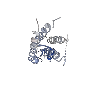 20915_6uvs_E_v1-2
Human Connexin-26 (Low pH open conformation)