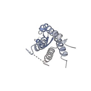 20915_6uvs_F_v1-2
Human Connexin-26 (Low pH open conformation)