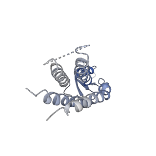 20915_6uvs_G_v1-2
Human Connexin-26 (Low pH open conformation)