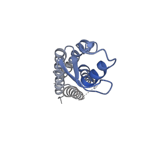 20915_6uvs_H_v1-2
Human Connexin-26 (Low pH open conformation)