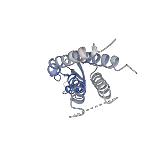 20915_6uvs_J_v1-1
Human Connexin-26 (Low pH open conformation)