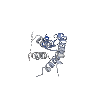 20915_6uvs_K_v1-2
Human Connexin-26 (Low pH open conformation)