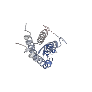 20915_6uvs_L_v1-2
Human Connexin-26 (Low pH open conformation)