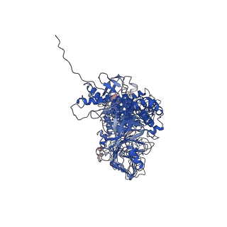 26812_7uvk_A_v1-0
G. haemolysans IgA1 protease