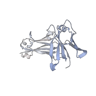 26813_7uvl_A_v1-0
IgA1 Protease with IgA1 substrate