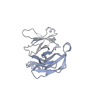 26813_7uvl_B_v1-0
IgA1 Protease with IgA1 substrate