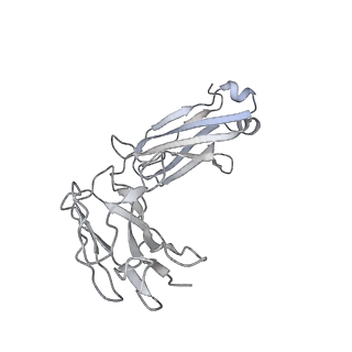 26813_7uvl_L_v1-0
IgA1 Protease with IgA1 substrate