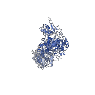 26813_7uvl_P_v1-0
IgA1 Protease with IgA1 substrate