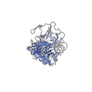 26815_7uvp_A_v1-0
Cryo-EM structure of the ribosome-bound Bacteroides thetaiotaomicron EF-G2