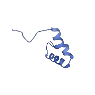 26817_7uvv_1_v1-1
A. baumannii ribosome-Streptothricin-F complex: 70S with P-site tRNA