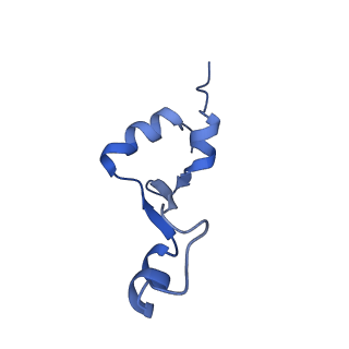 26817_7uvv_2_v1-1
A. baumannii ribosome-Streptothricin-F complex: 70S with P-site tRNA