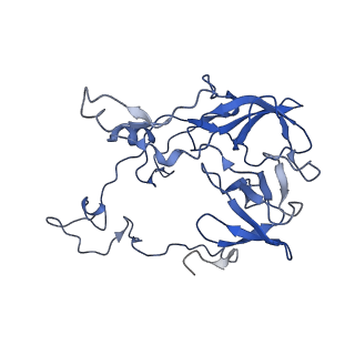 26817_7uvv_C_v1-1
A. baumannii ribosome-Streptothricin-F complex: 70S with P-site tRNA