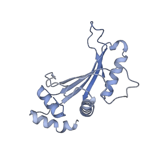 26817_7uvv_F_v1-1
A. baumannii ribosome-Streptothricin-F complex: 70S with P-site tRNA