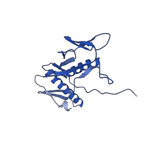 26817_7uvv_G_v1-1
A. baumannii ribosome-Streptothricin-F complex: 70S with P-site tRNA