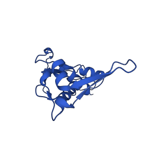 26817_7uvv_I_v1-1
A. baumannii ribosome-Streptothricin-F complex: 70S with P-site tRNA