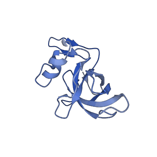 26817_7uvv_J_v1-1
A. baumannii ribosome-Streptothricin-F complex: 70S with P-site tRNA