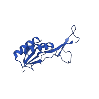 26817_7uvv_L_v1-1
A. baumannii ribosome-Streptothricin-F complex: 70S with P-site tRNA