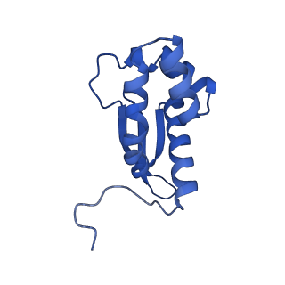 26817_7uvv_M_v1-1
A. baumannii ribosome-Streptothricin-F complex: 70S with P-site tRNA