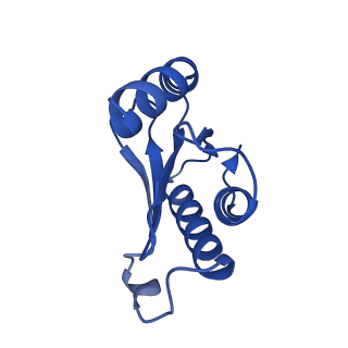 26817_7uvv_N_v1-1
A. baumannii ribosome-Streptothricin-F complex: 70S with P-site tRNA