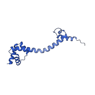 26817_7uvv_P_v1-1
A. baumannii ribosome-Streptothricin-F complex: 70S with P-site tRNA