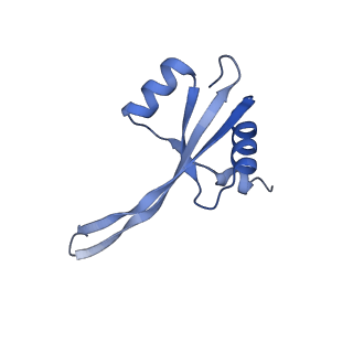 26817_7uvv_S_v1-1
A. baumannii ribosome-Streptothricin-F complex: 70S with P-site tRNA
