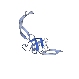 26817_7uvv_T_v1-1
A. baumannii ribosome-Streptothricin-F complex: 70S with P-site tRNA