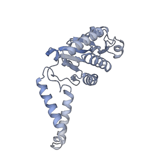26817_7uvv_b_v1-1
A. baumannii ribosome-Streptothricin-F complex: 70S with P-site tRNA