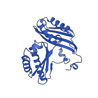 26817_7uvv_c_v1-1
A. baumannii ribosome-Streptothricin-F complex: 70S with P-site tRNA