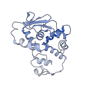 26817_7uvv_d_v1-1
A. baumannii ribosome-Streptothricin-F complex: 70S with P-site tRNA