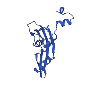 26817_7uvv_e_v1-1
A. baumannii ribosome-Streptothricin-F complex: 70S with P-site tRNA