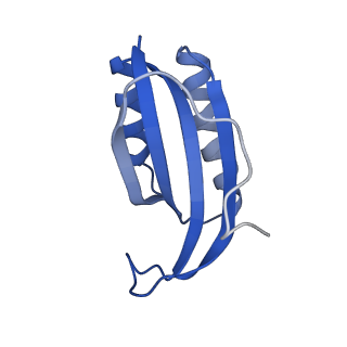 26817_7uvv_f_v1-1
A. baumannii ribosome-Streptothricin-F complex: 70S with P-site tRNA