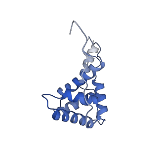 26817_7uvv_g_v1-1
A. baumannii ribosome-Streptothricin-F complex: 70S with P-site tRNA