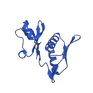 26817_7uvv_h_v1-1
A. baumannii ribosome-Streptothricin-F complex: 70S with P-site tRNA