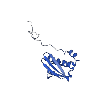 26817_7uvv_i_v1-1
A. baumannii ribosome-Streptothricin-F complex: 70S with P-site tRNA