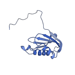 26817_7uvv_k_v1-1
A. baumannii ribosome-Streptothricin-F complex: 70S with P-site tRNA