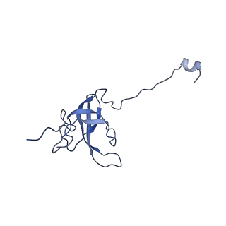 26817_7uvv_l_v1-1
A. baumannii ribosome-Streptothricin-F complex: 70S with P-site tRNA