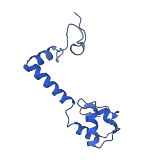 26817_7uvv_m_v1-1
A. baumannii ribosome-Streptothricin-F complex: 70S with P-site tRNA