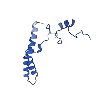 26817_7uvv_n_v1-1
A. baumannii ribosome-Streptothricin-F complex: 70S with P-site tRNA
