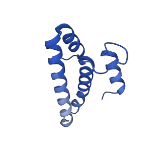 26817_7uvv_o_v1-1
A. baumannii ribosome-Streptothricin-F complex: 70S with P-site tRNA