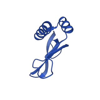 26817_7uvv_p_v1-1
A. baumannii ribosome-Streptothricin-F complex: 70S with P-site tRNA