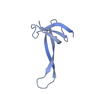26817_7uvv_q_v1-1
A. baumannii ribosome-Streptothricin-F complex: 70S with P-site tRNA